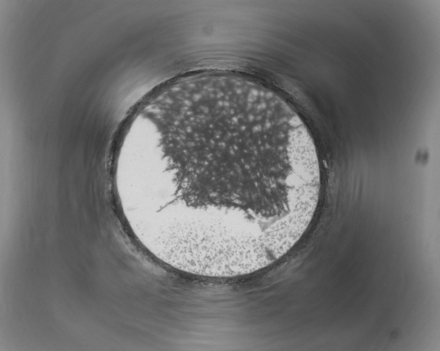 X0000112951071200910051213