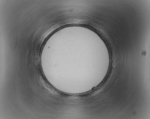 X0000112951073200910051213