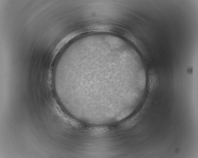 X0000112951074200910051213