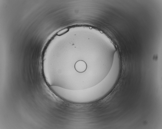 X0000112951076200910051213