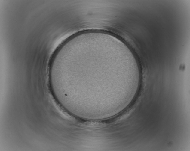 X0000112951077200910051213