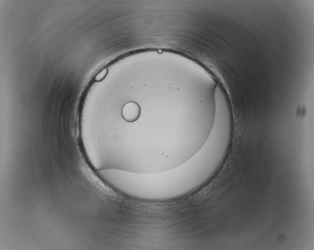 X0000112951080200910051213