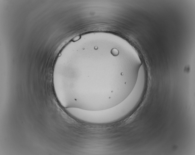 X0000112951081200910051213