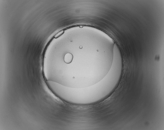 X0000112951084200910051213