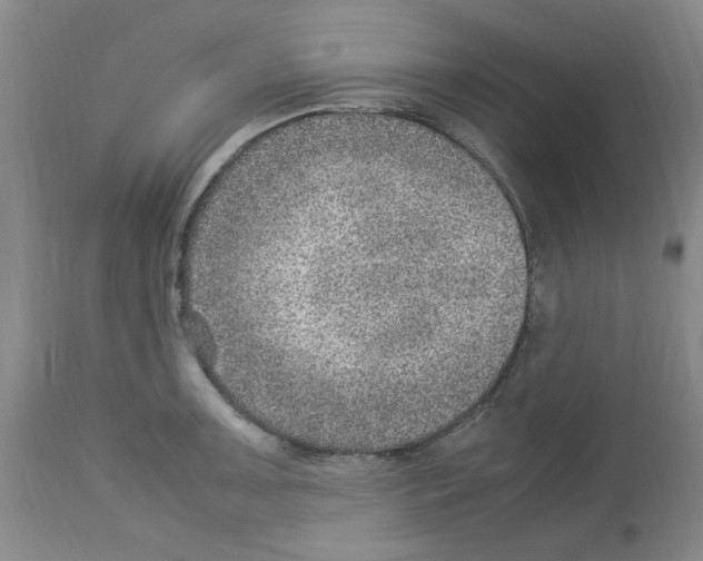X0000112951091200910051213