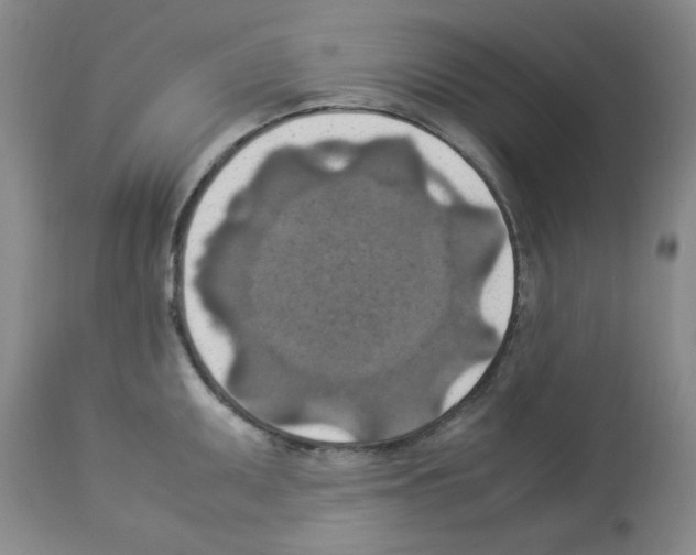 X0000112951095200910051213