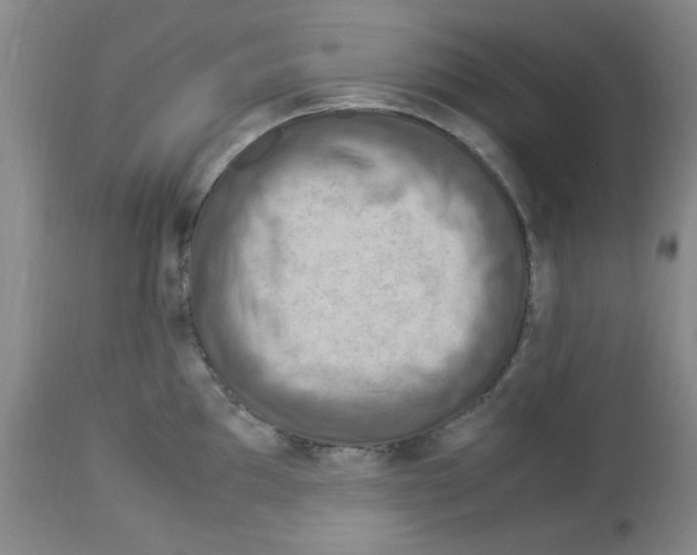 X0000112951097200910051213