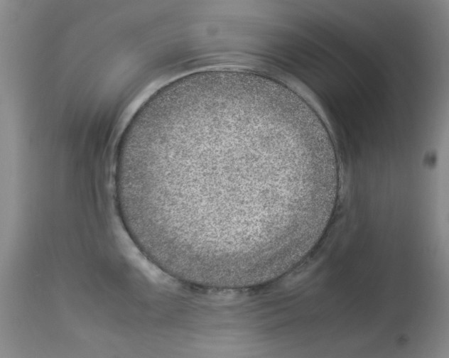 X0000112951099200910051213