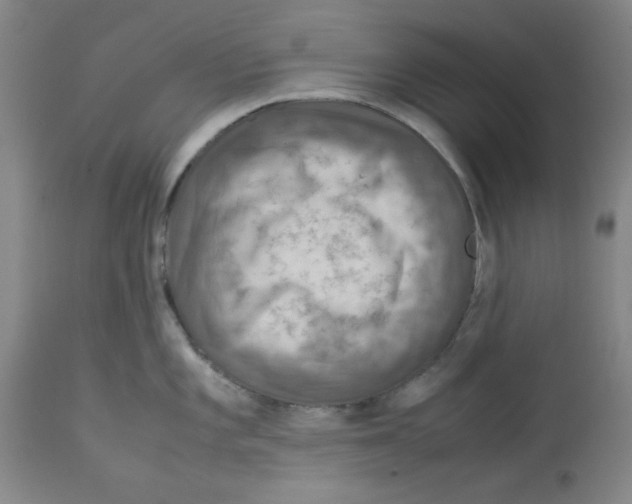 X0000112951101200910051213