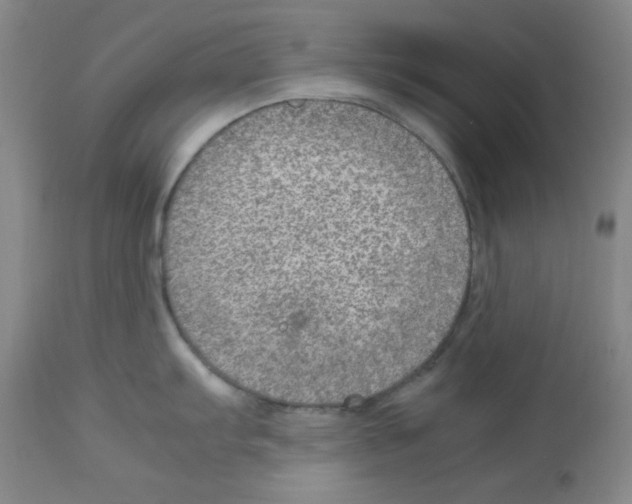 X0000112951103200910051213