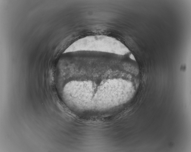 X0000112951106200910051212