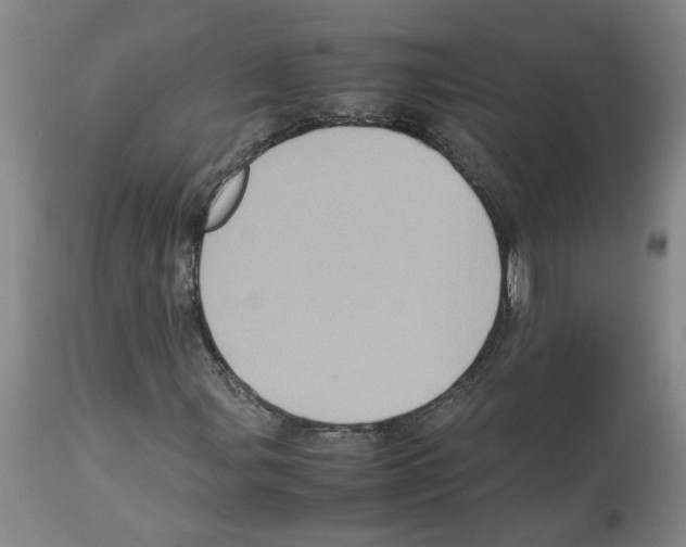 X0000112951107200910051212