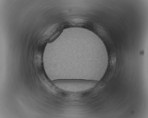 X0000112951108200910051212