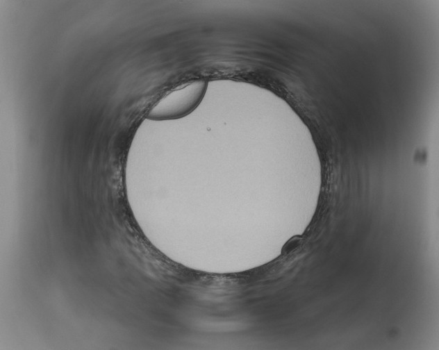X0000112951109200910051212