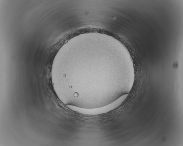 X0000112951110200910051212