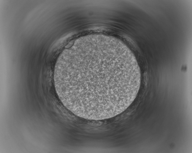 X0000112951111200910051212