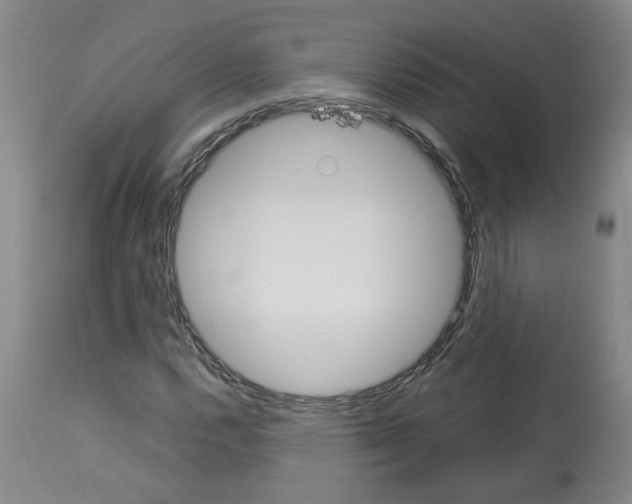 X0000112951112200910051212