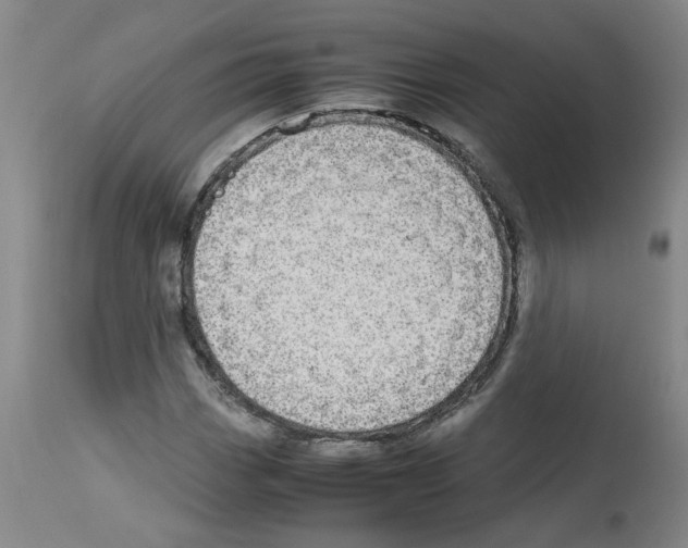 X0000112951113200910051212