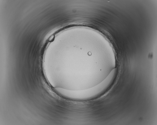 X0000112951114200910051212