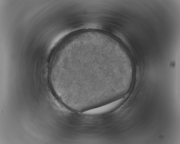 X0000112951115200910051212