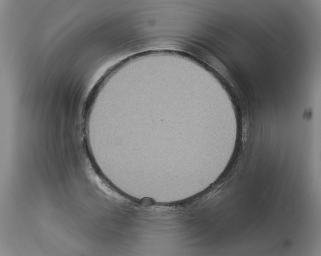 X0000112951116200910051212