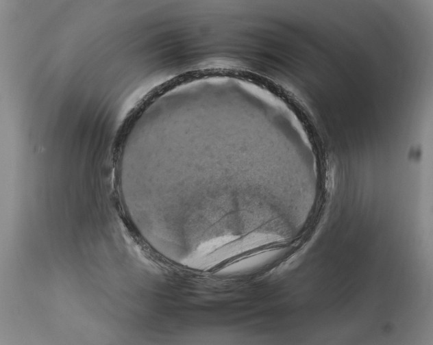 X0000112951117200910051212