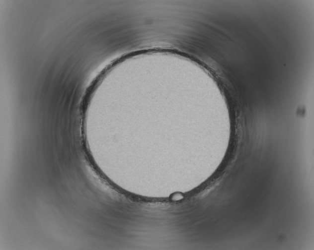 X0000112951118200910051212