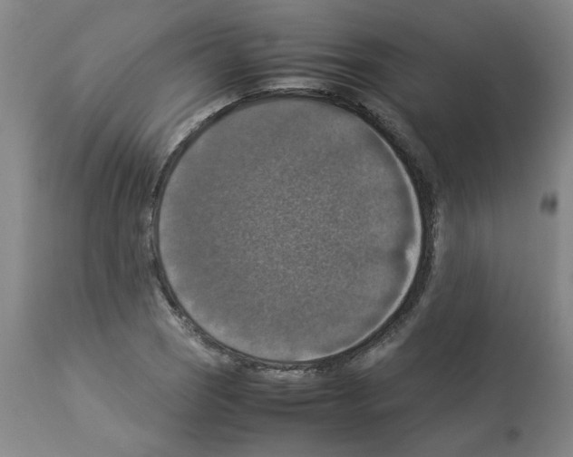 X0000112951121200910051212