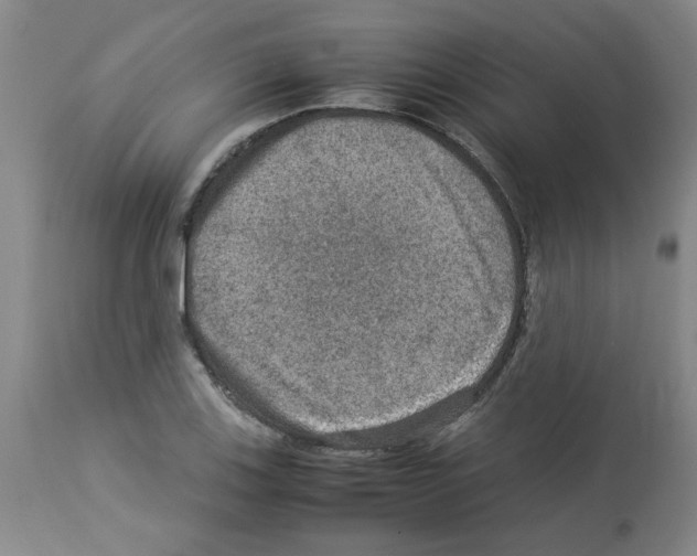 X0000112951123200910051212