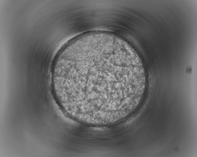 X0000112951125200910051212