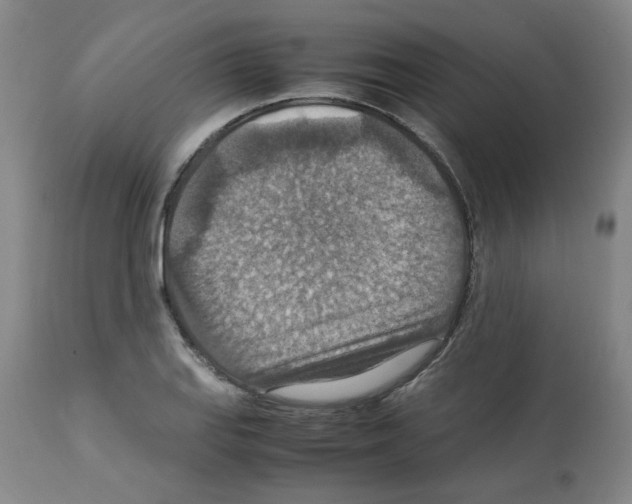 X0000112951127200910051212