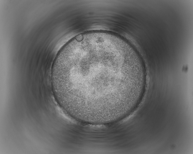 X0000112951129200910051212