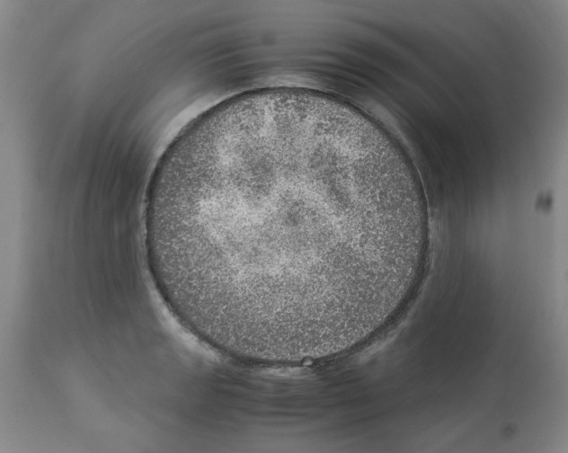 X0000112951133200910051212