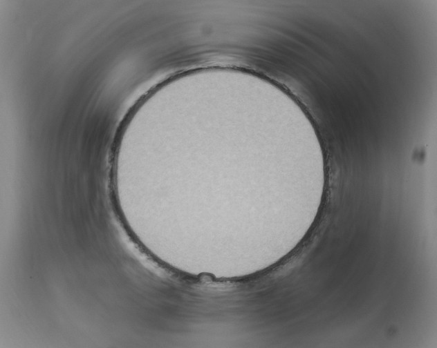 X0000112951134200910051212