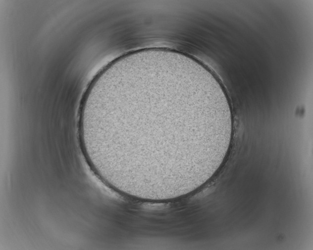 X0000112951135200910051212