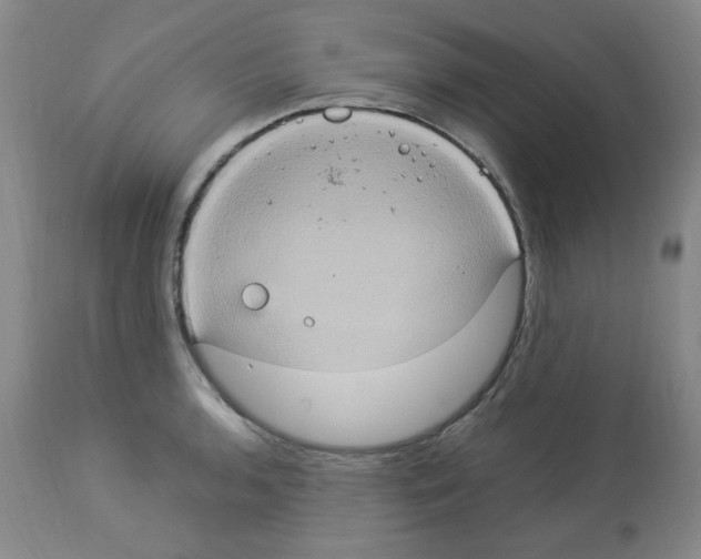 X0000112951136200910051212