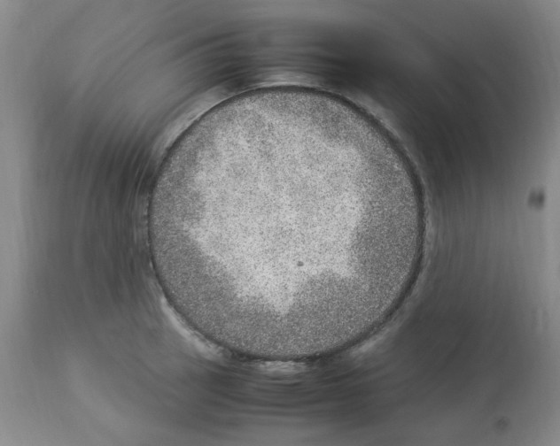 X0000112951137200910051212