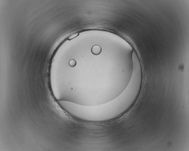X0000112951138200910051212