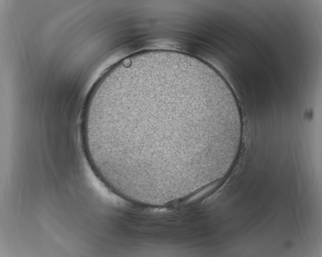 X0000112951139200910051212