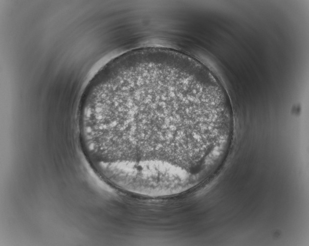 X0000112951141200910051212