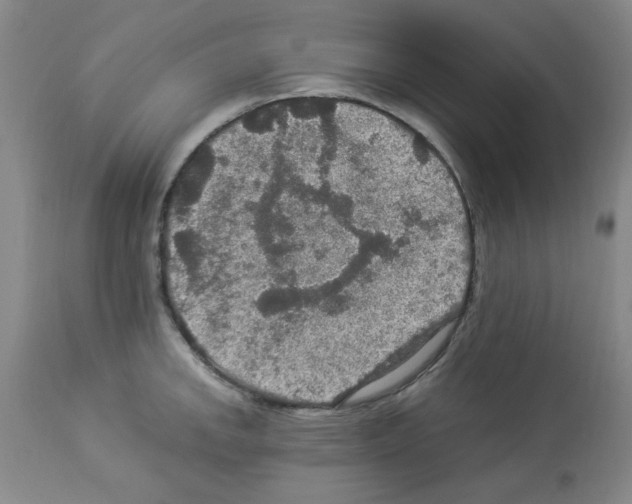 X0000112951142200910051213