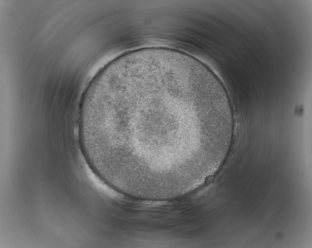 X0000112951143200910051213