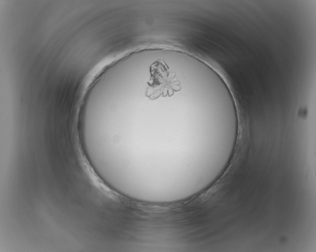 X0000112951144200910051213