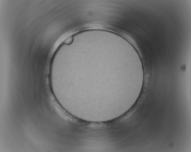 X0000112951146200910051213