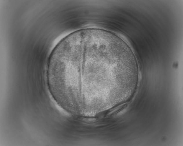 X0000112951149200910051213