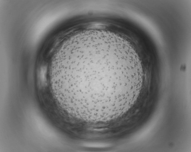 X0000112951150200910051213
