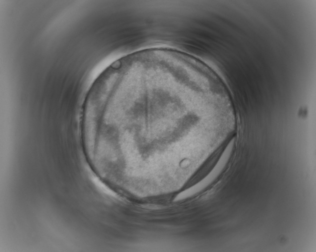 X0000112951151200910051213