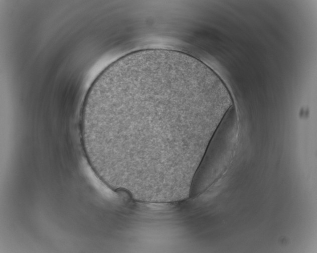 X0000112951152200910051213