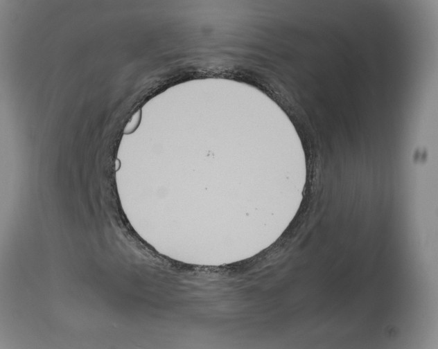 X0000112951153200910051212