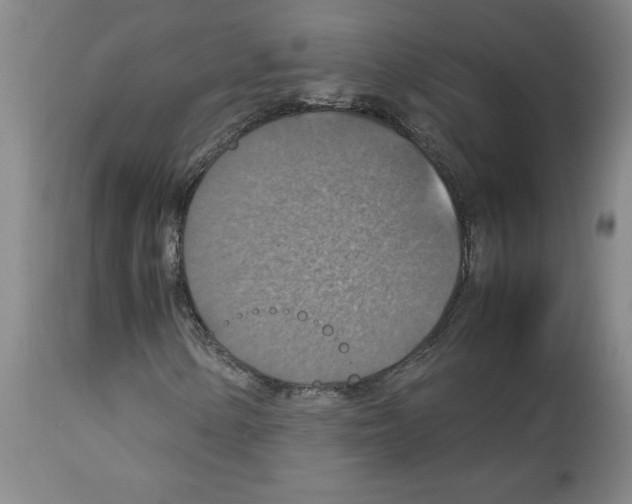 X0000112951154200910051212